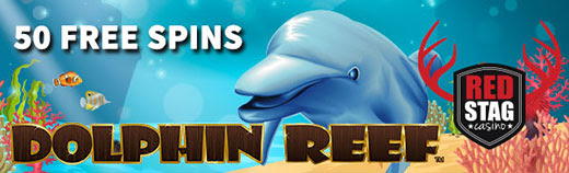no deposit online casino dolphin pearls no deposit online casino dolphin pearls