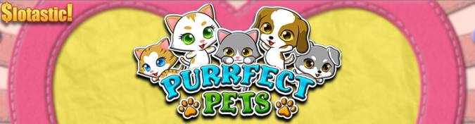 Slotastic Casino - 50% Bonus + 10 FS on Purrfect Pets May 2017