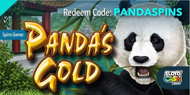 Sloto Cash Casino - up to 100 Daily Free Spins on Pandas Gold August 2018