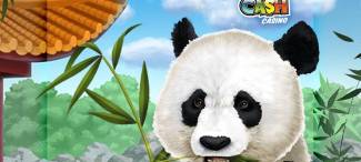 Sloto Cash Casino - 150% Deposit Bonus Code + 350 Free Spins September 2018