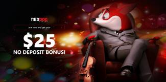 Red Dog Casino - Exclusive $25 Free Chip No Deposit Bonus Code