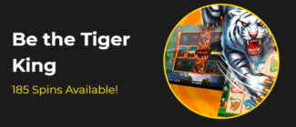 Slotastic Casino - Deposit $25 and get 80 Added Free Spins on Tiger Treasures
