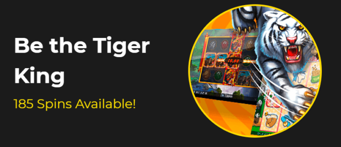 Slotastic Casino - Deposit $25 and get 80 Added Free Spins on Tiger Treasures