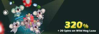 TwoUp Casino - Exclusive 320% Black Friday Bonus + 20 FS on Wild Hog Luau
