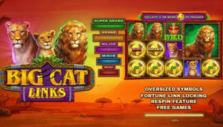 CasinoMax - 20 No Deposit Free Spins Bonus Code on Big Cat Links